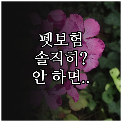 펫보험 계약 전 알릴 의무 솔직하게 ..