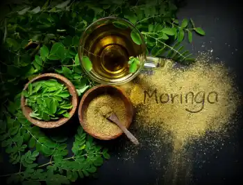 모링가 효능 및 영양성분, 주의점