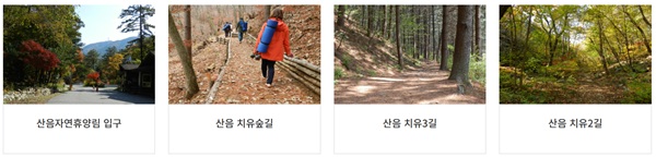 산음자연휴양림,산음자연휴양림예약,양평휴양림,경기도휴양림,산림휴양포털,산음휴양림요금,치유의숲,휴양림캠핑,경기도가볼만한곳,산음자연휴양림이용팁