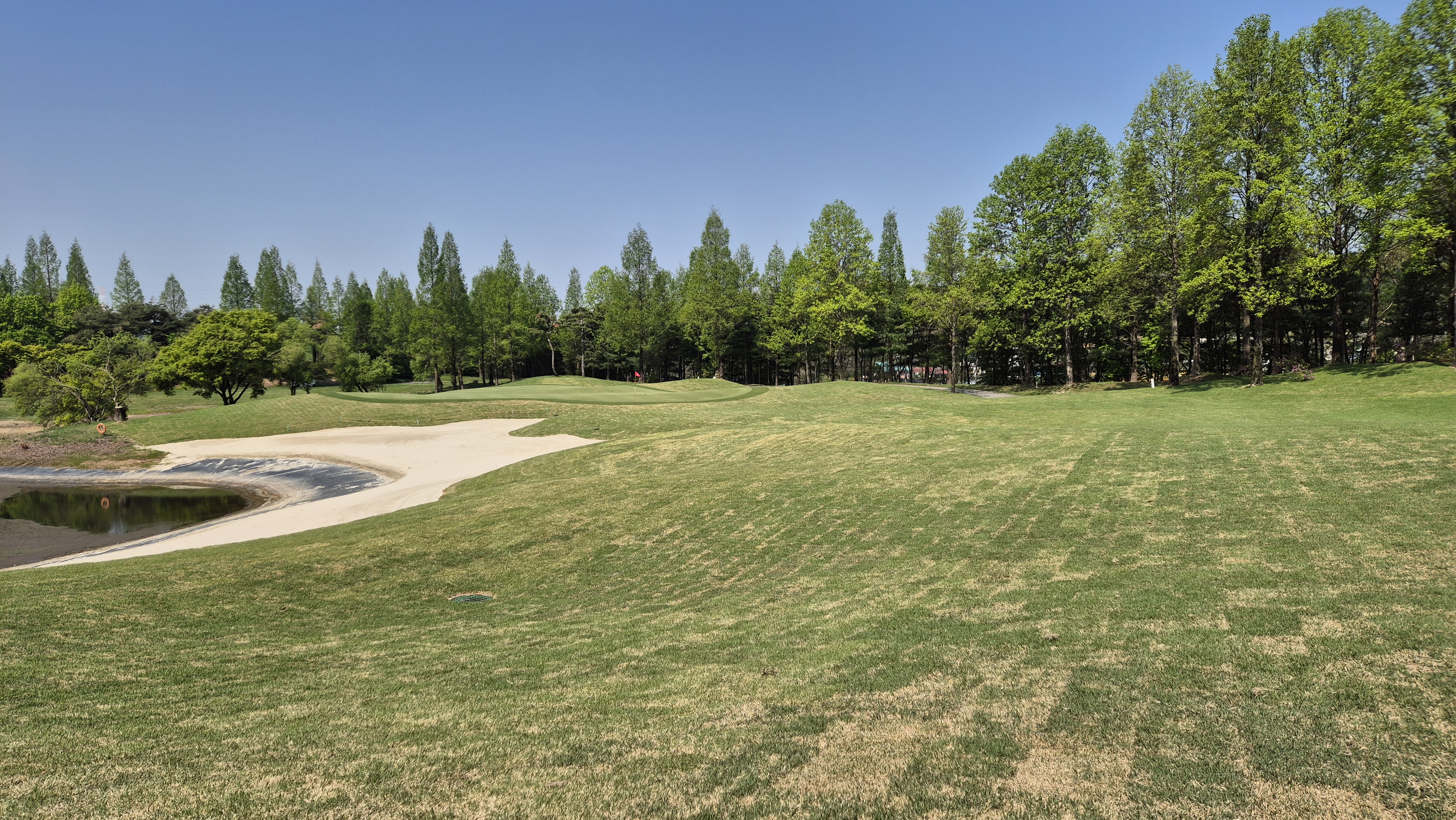 마에스트로cc 코스