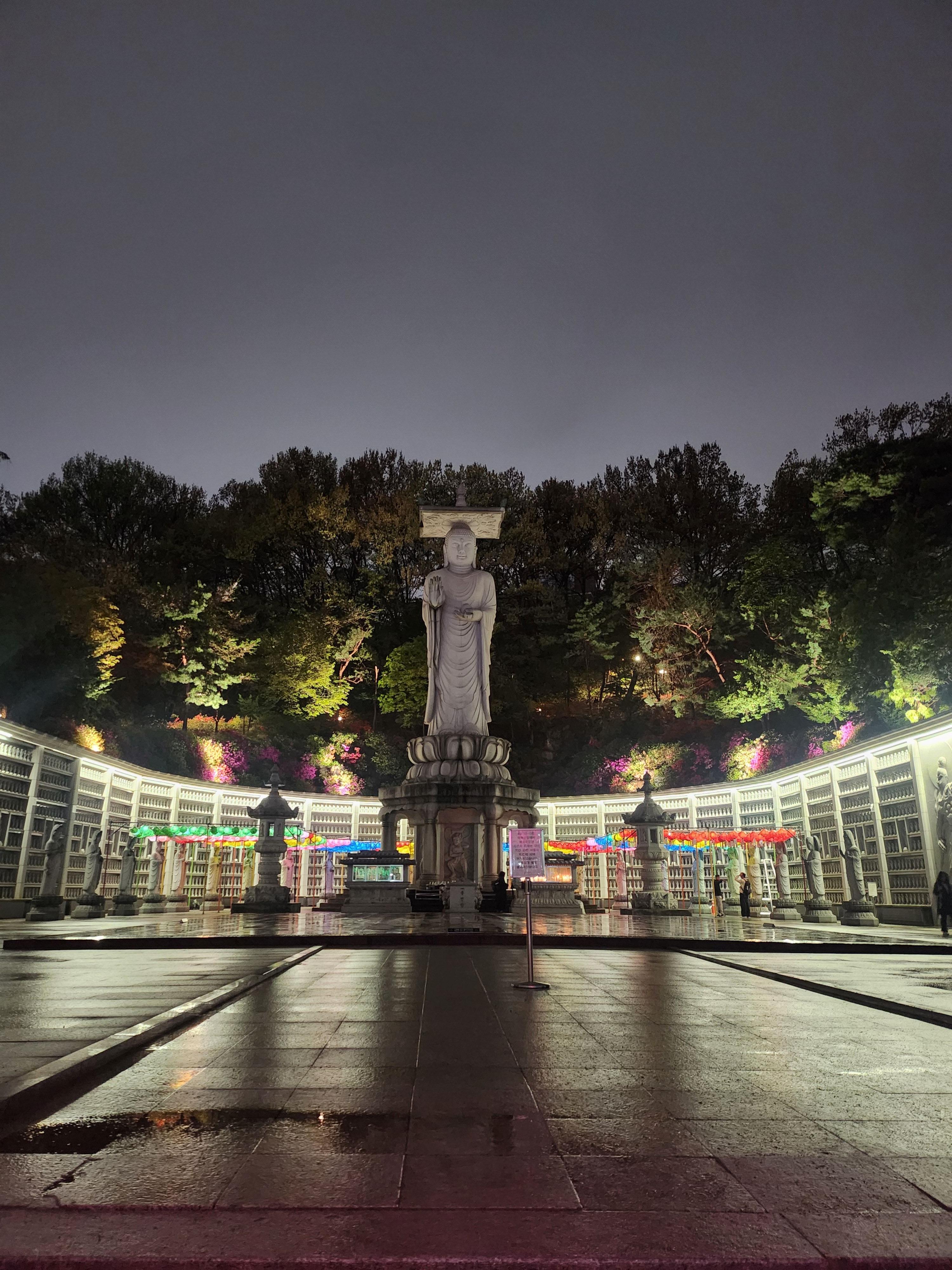 2025. 4. 19. 봉은사 연등제 야경 산책 후기 (겹벚꽃, 라일락, 홍매화 개화상황 포함)