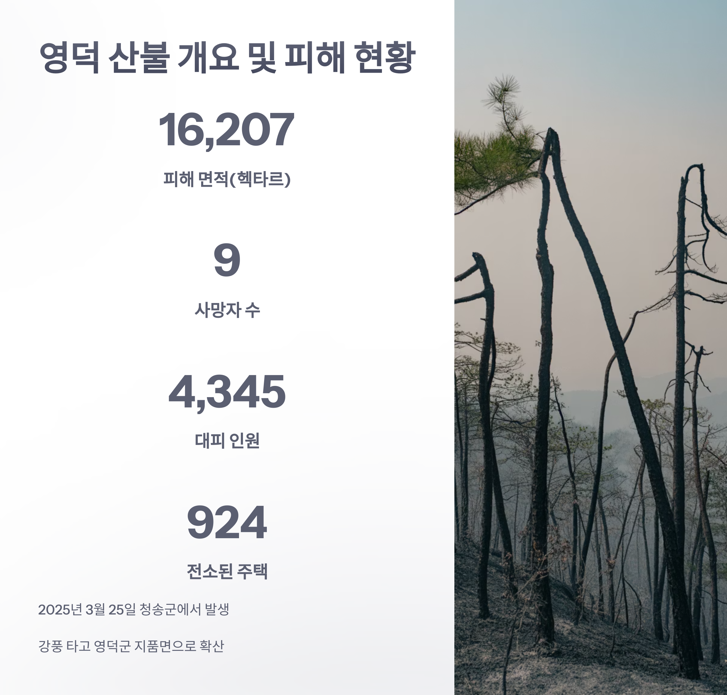 참조-영덕-산불-현황,-관광-2