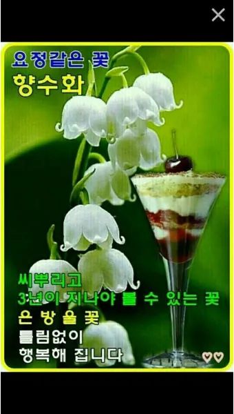 10월 인사말 예시 모음 영어_12