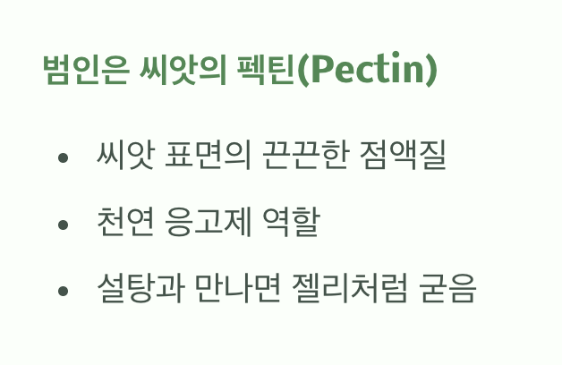 젤리처럼 변하는 미스터리, 범인은 씨앗