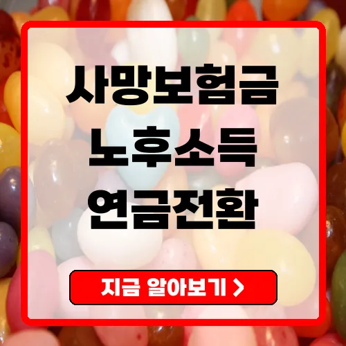 사망보험금유동화 은퇴 후 안정된 노후소득을 위한 혁신적인 접근