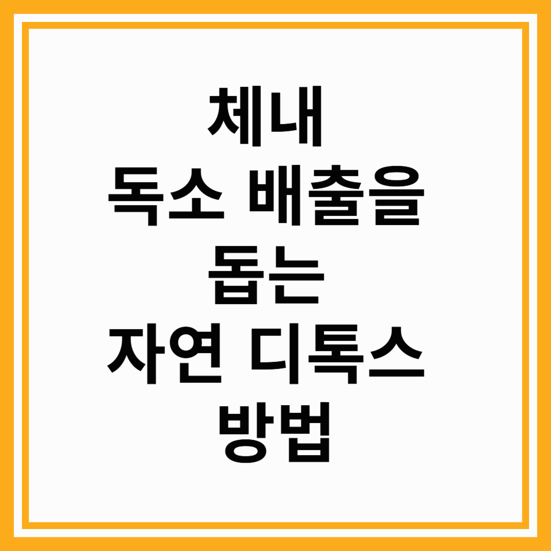 체내 독소 배출을 돕는 자연 디톡스 방법