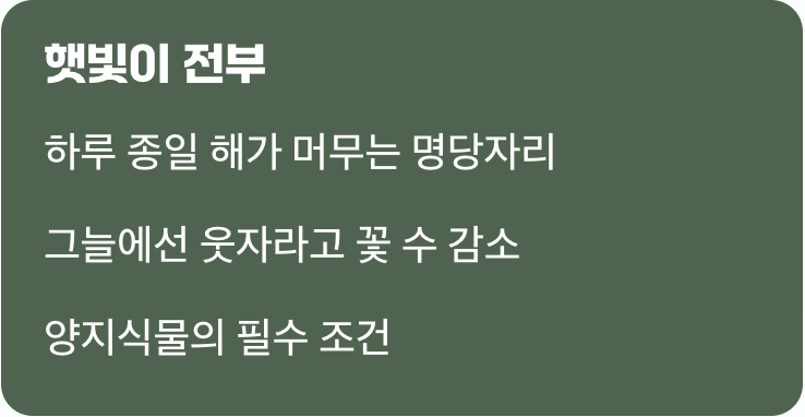 금빛 물결을 위한 단 하나의 조건