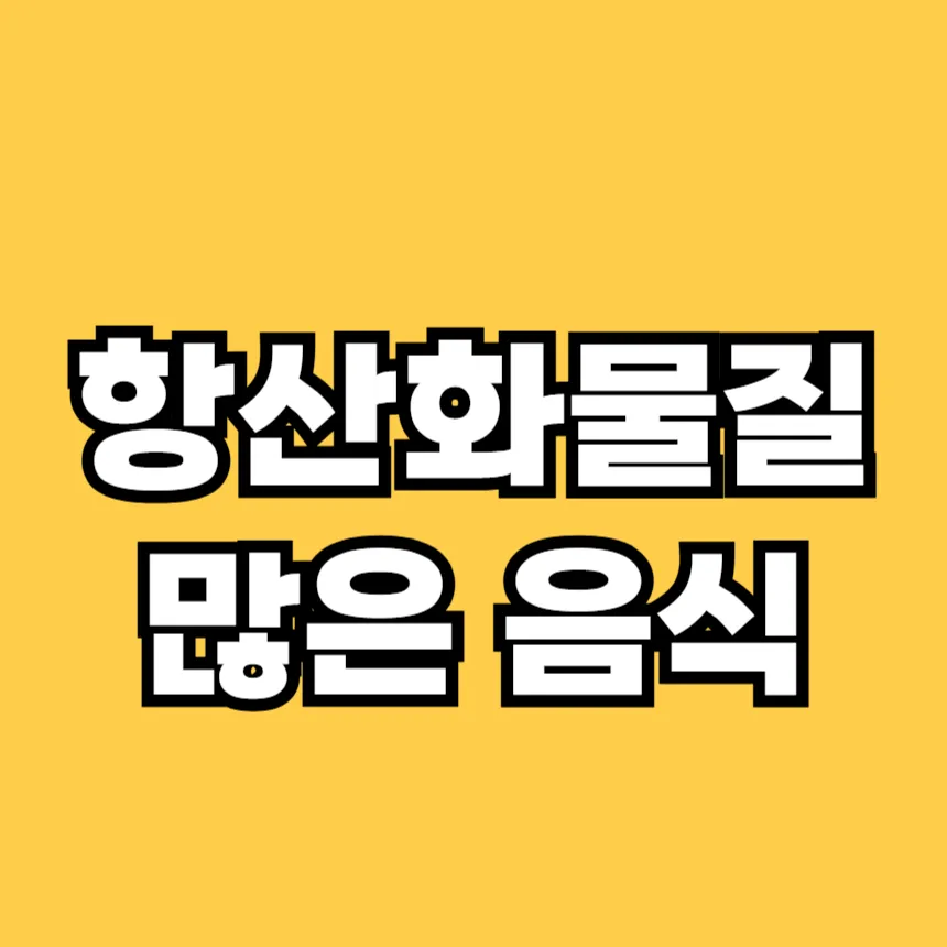 항산화 물질이 많은 음식