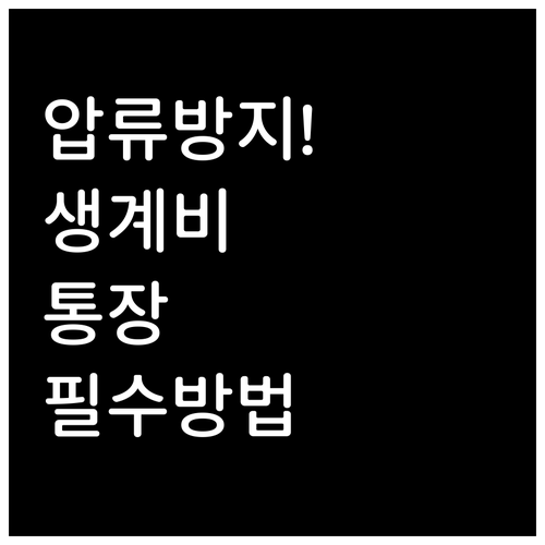 민사집행법에 따른 최저 생계비 보호와..