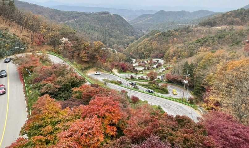 속리산 말티재 전망대 가을