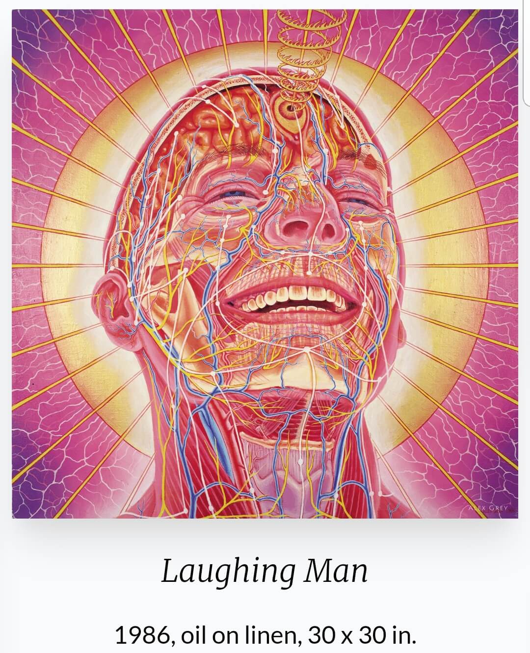 알렉스 그레이(Alex Grey, 1953~ ) 작품