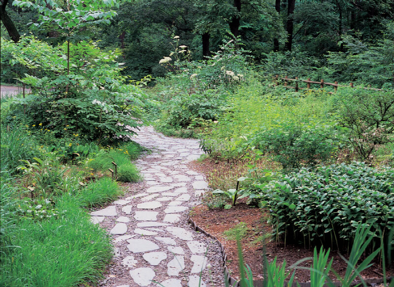 포천 국립수목원 광릉수목원 예약