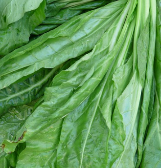 갑상선에 좋은 음식 17