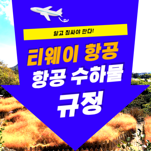 ํฐ์จ์ด ํญ๊ณต ์ํ๋ฌผ ๊ท์ 