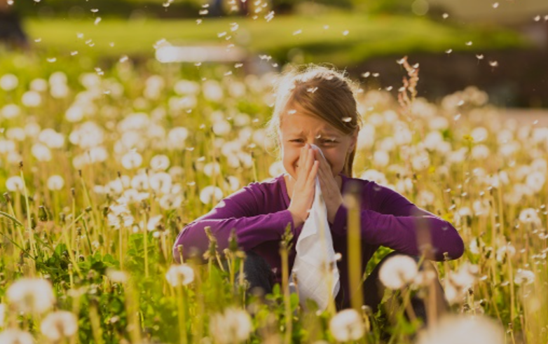 꽃가루 알레르기