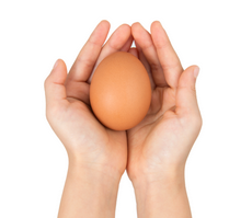 여성 탈모 원인