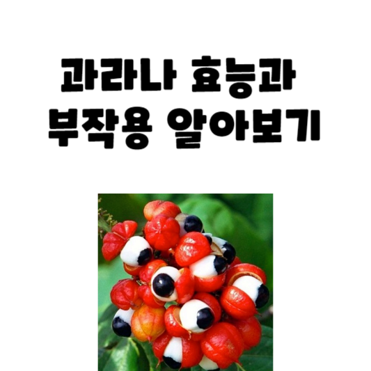 과라나 효능과 부작용