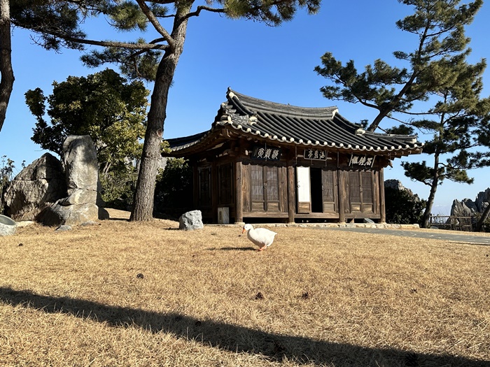 추암-촛대바위-해암정