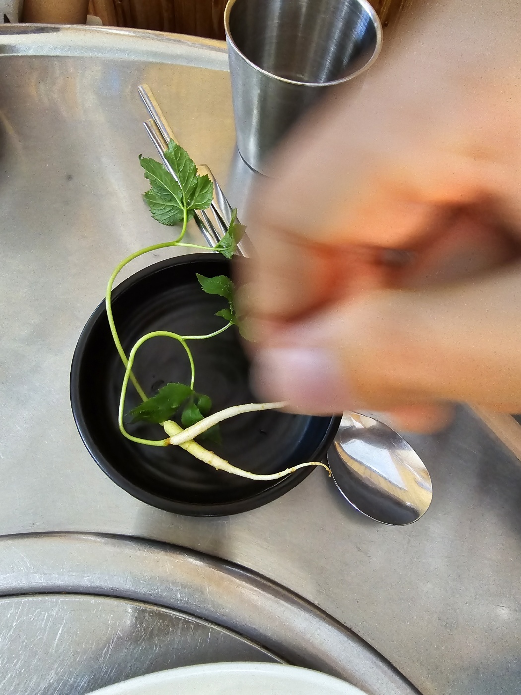 삼뿌리를 주세요