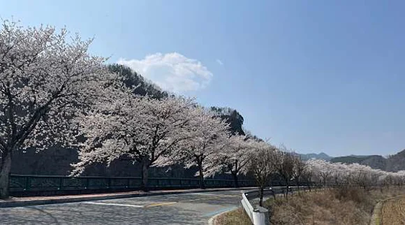 서면마을