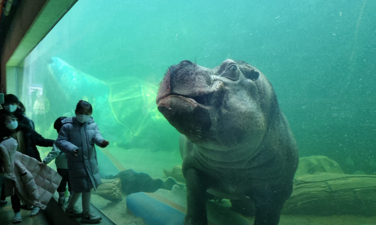 아라마루 아쿠아리움