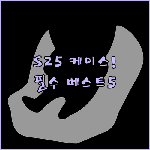 갤럭시 S25 시리즈 케이스 베스트 ..