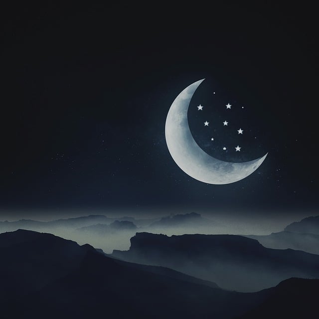 꿈-해몽