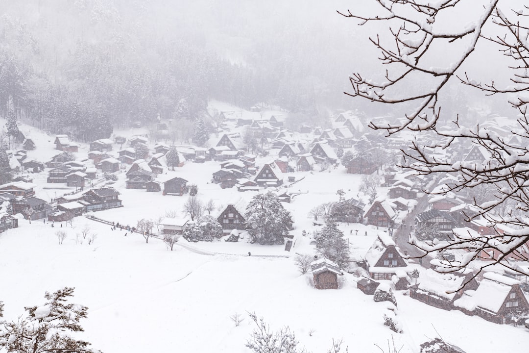 Traditional Village