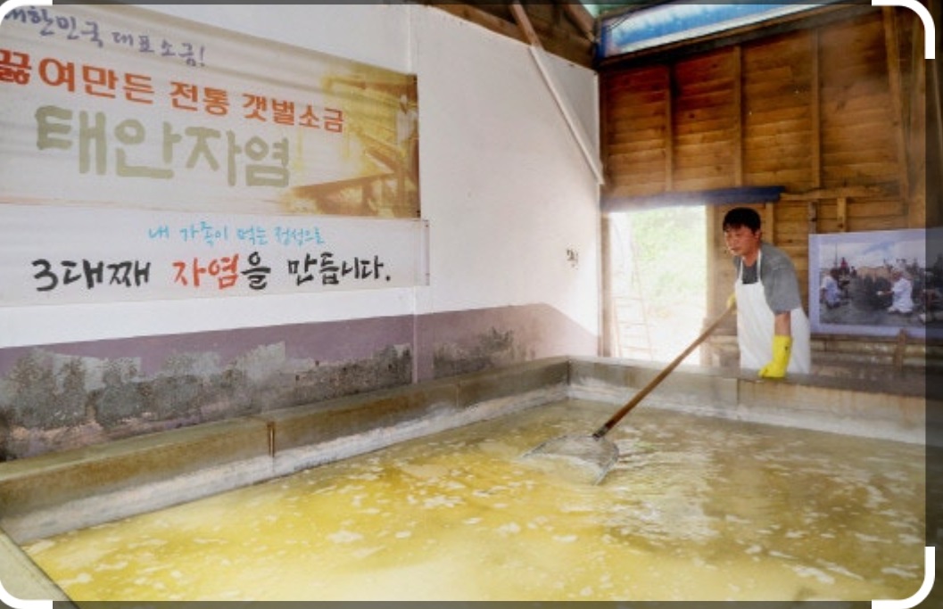 태안-자염-소금-끓인소금-갯벌소금