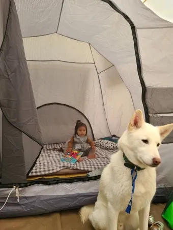 서울 마포 반려동물 캠핑장 도심 속 힐링 명소 가이드_15