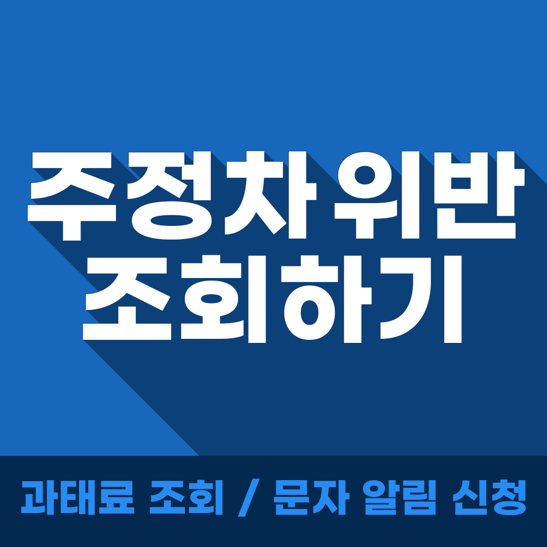 주정차 위반 조회