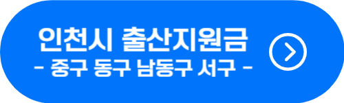 인천광역시 중구, 동구, 남동구, 서구 출산지원금 확인 버튼