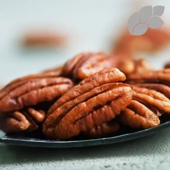 피칸 효능 부작용_9