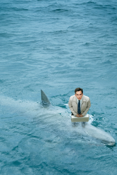 영화 <월터의 상상은 현실이 된다> 사진