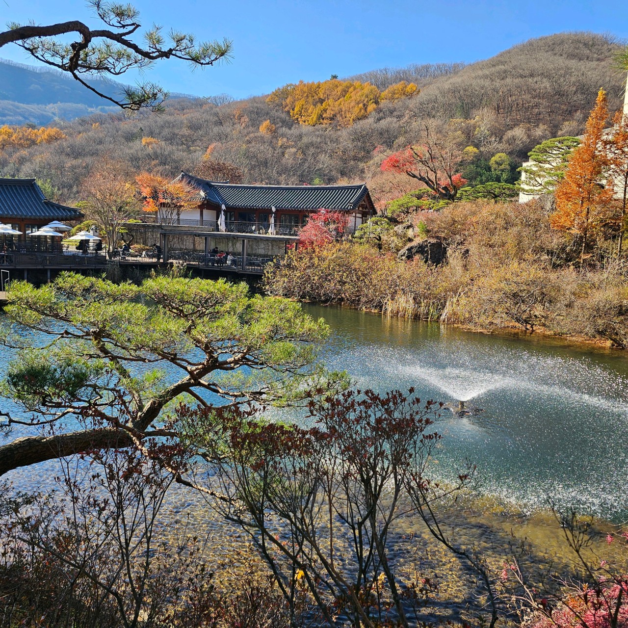 화담숲, 꼭 사진 찍어야 할 포인트 5곳
