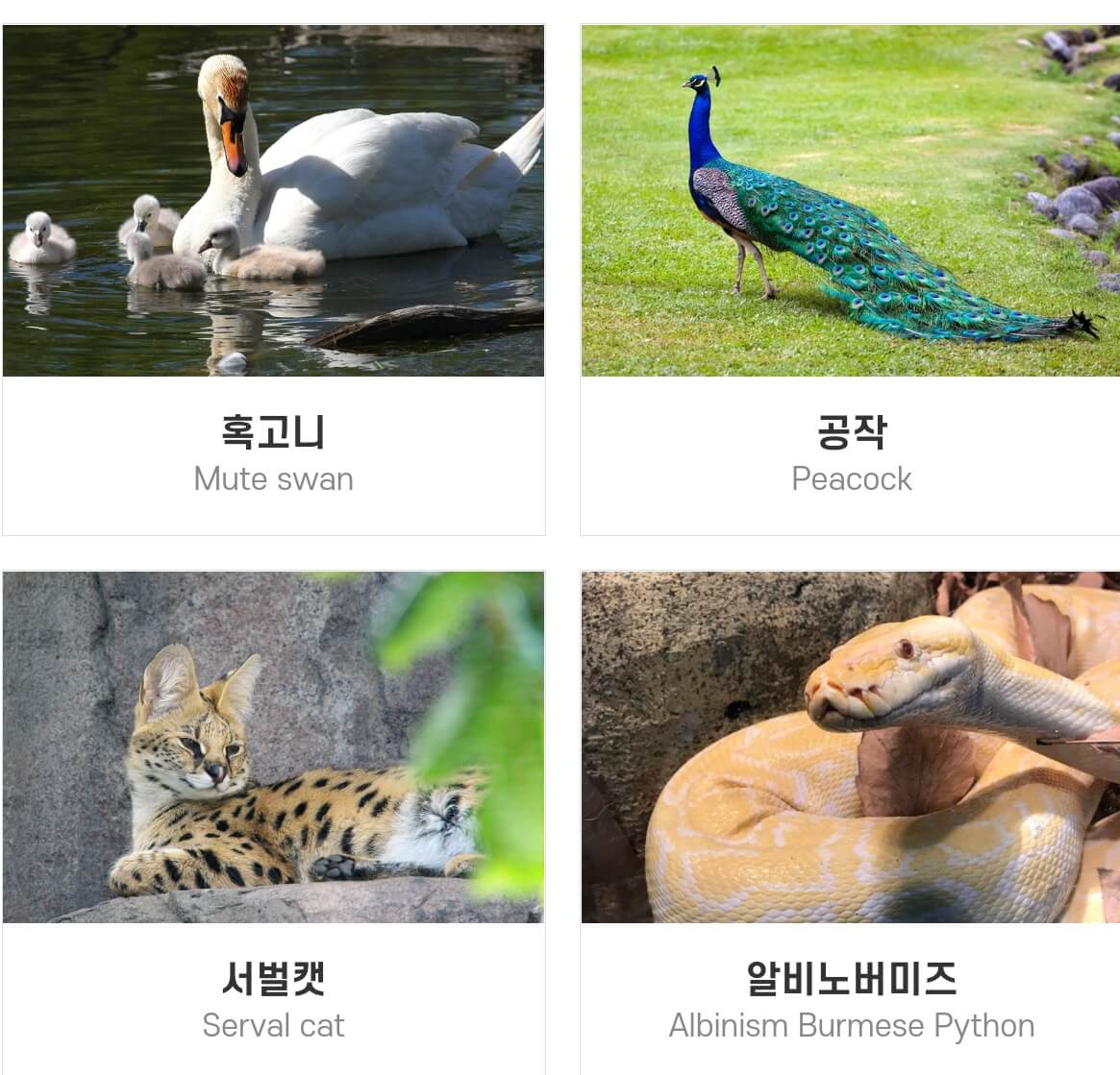 네이처파크 미라클 크리스마스 기본정보와 주차장&#44;입장료를 알아봤습니다