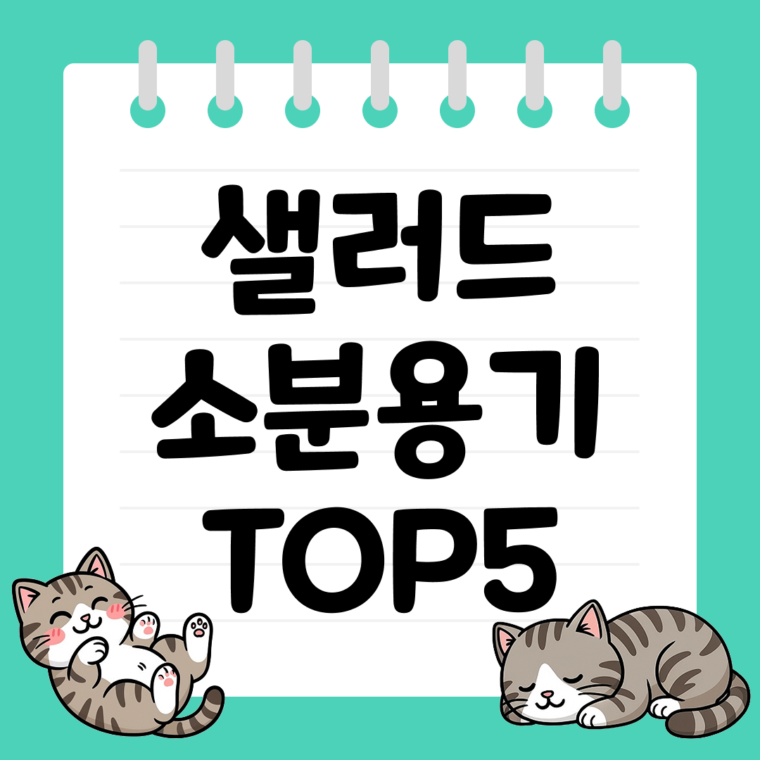 25년 9월 1주차 샐러드 소분용기 추천 순위 TOP5
