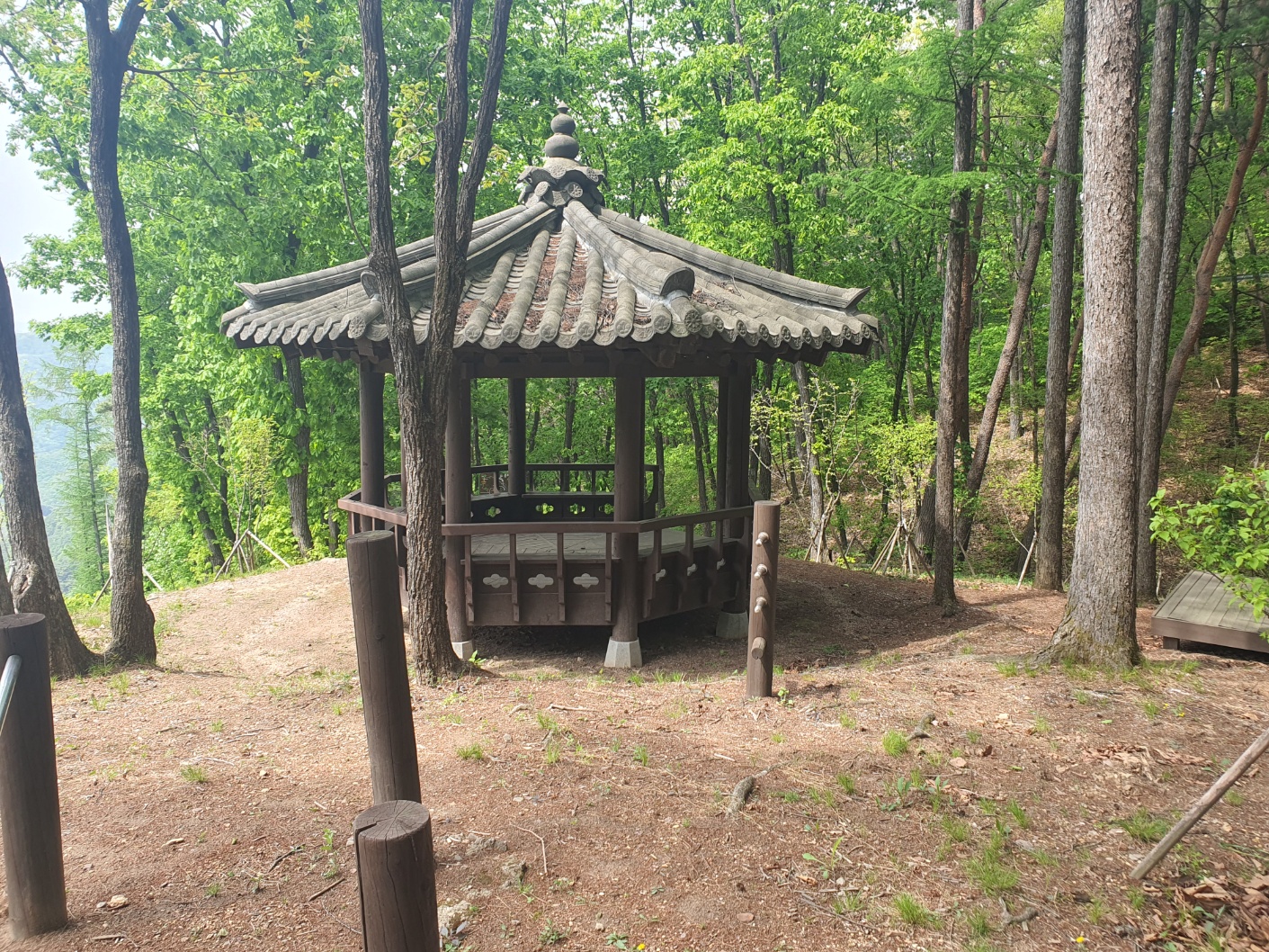 봉래산산림욕장