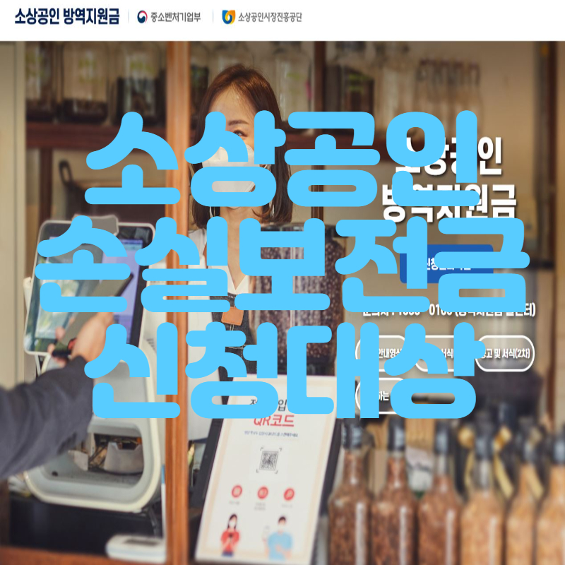 손실보전금