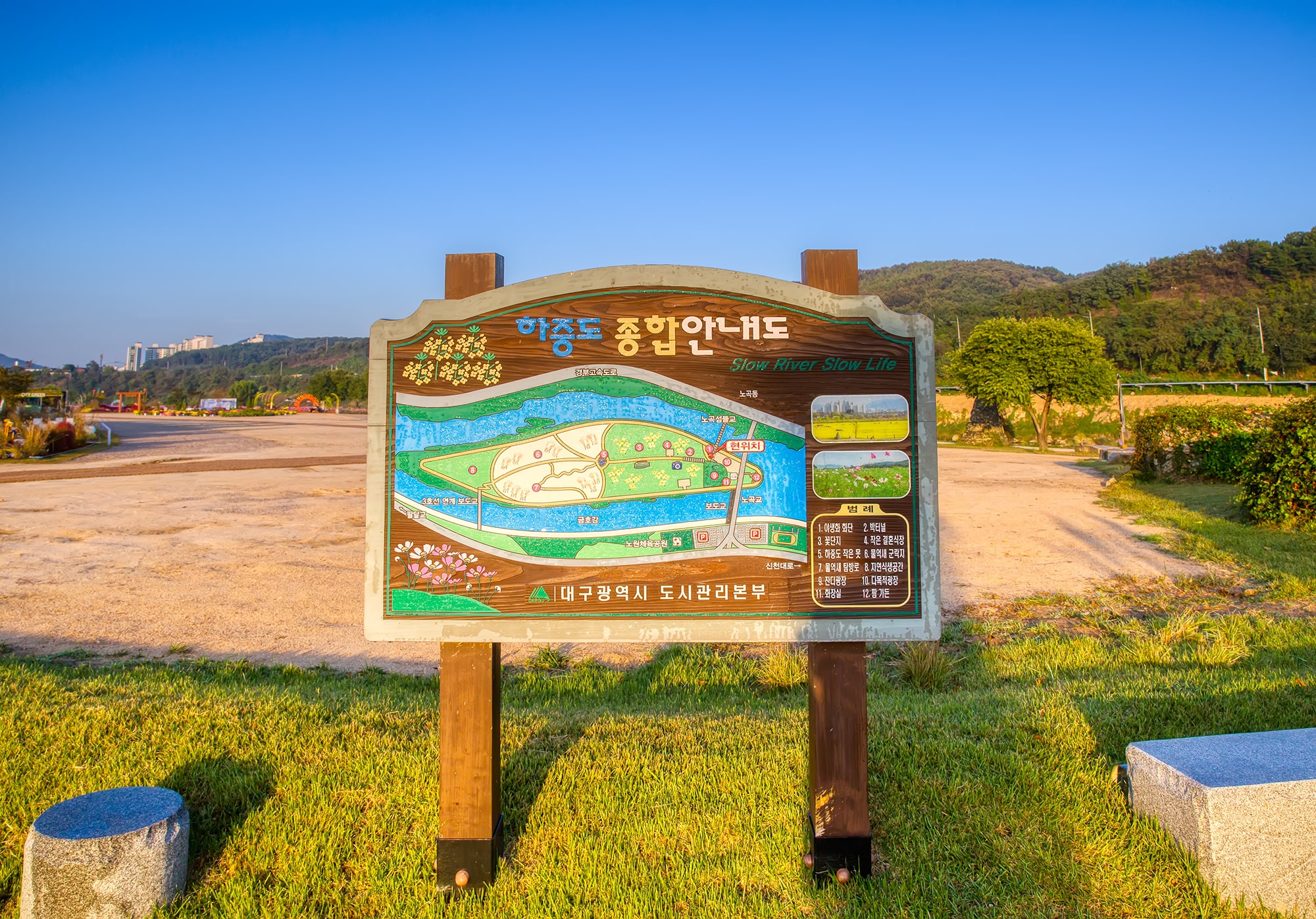 금호꽃섬 코스모스6