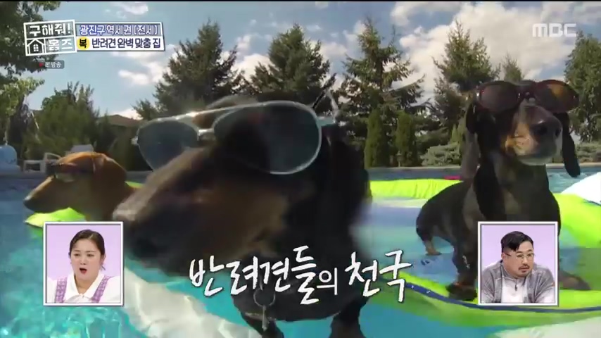 구해줘홈즈 댕댕하우스 동물병원 인접 서울시 광진구 중곡동 전세 매매 매물 가격 및 구조 인테리어 리모델링 최종선택 더보이즈 영훈 현재 소개