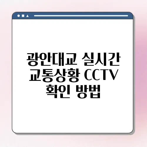 광안대교 실시간 교통상황 CCTV 확인 방법
