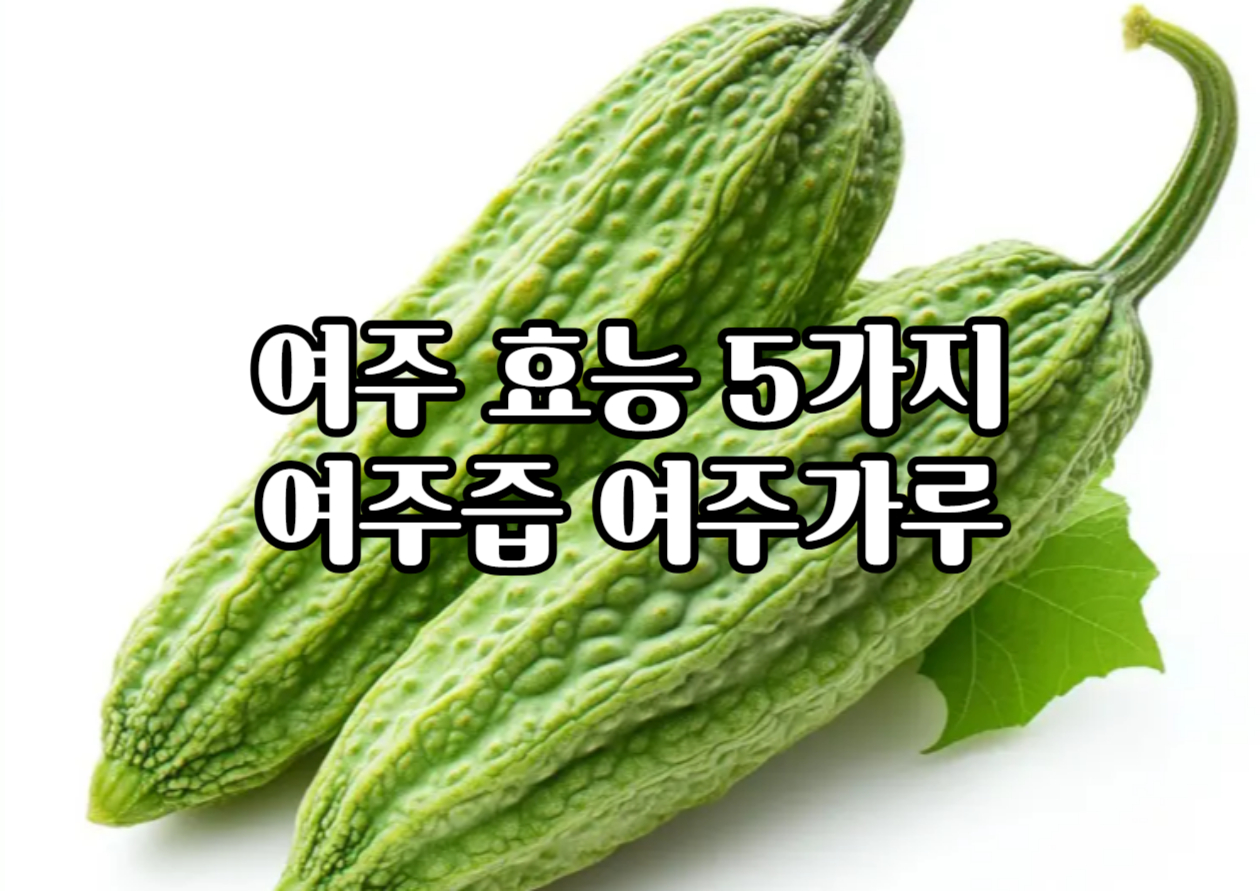 여주 효능 5가지 여주즙 여주가루 먹는방법