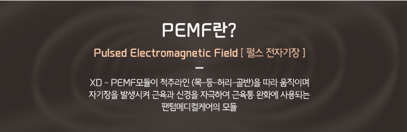 팬텀 메디컬 케어