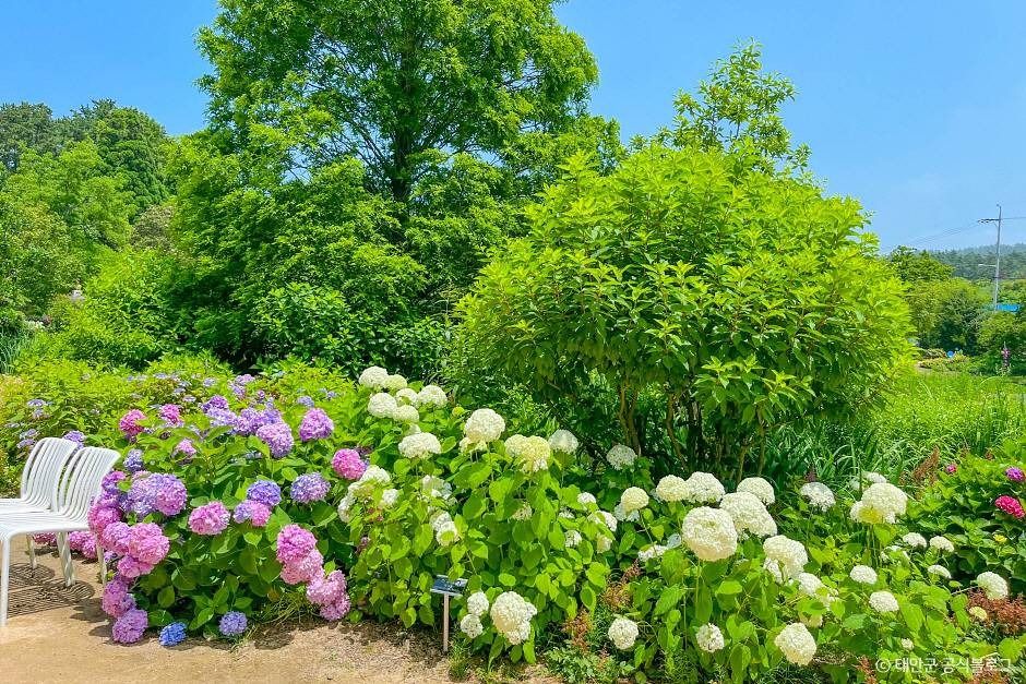 태안 가볼만한곳 베스트10