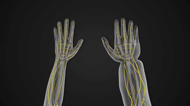 유방암 겨드랑이 림프부종 팔 증상 원인 치료 수술 후