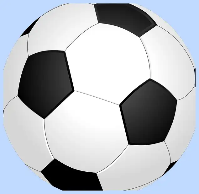 축구 국가대표 감독: 역대 감독부터 현재까지 모든 것