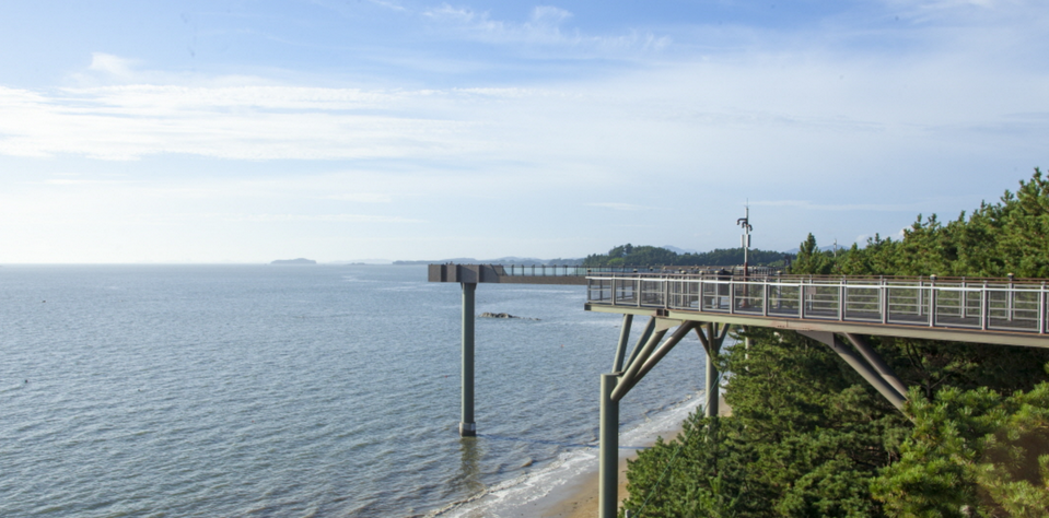 장항-스카이워크-전경