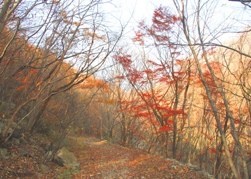 내장산-장성새재 옛길