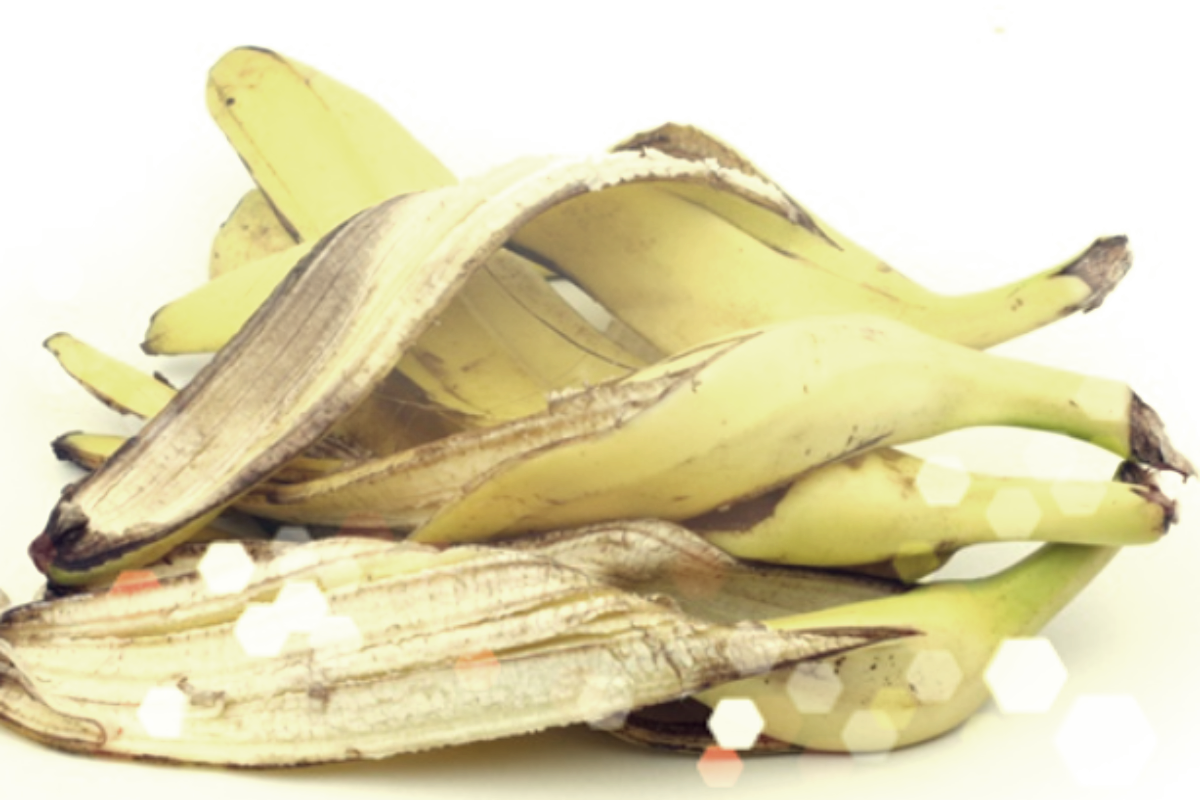 바나나껍질-사진